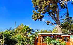 PINARES DEL MAR SUITE CON DESAYUNO Ó Cabañas familiares -Pet friendy
